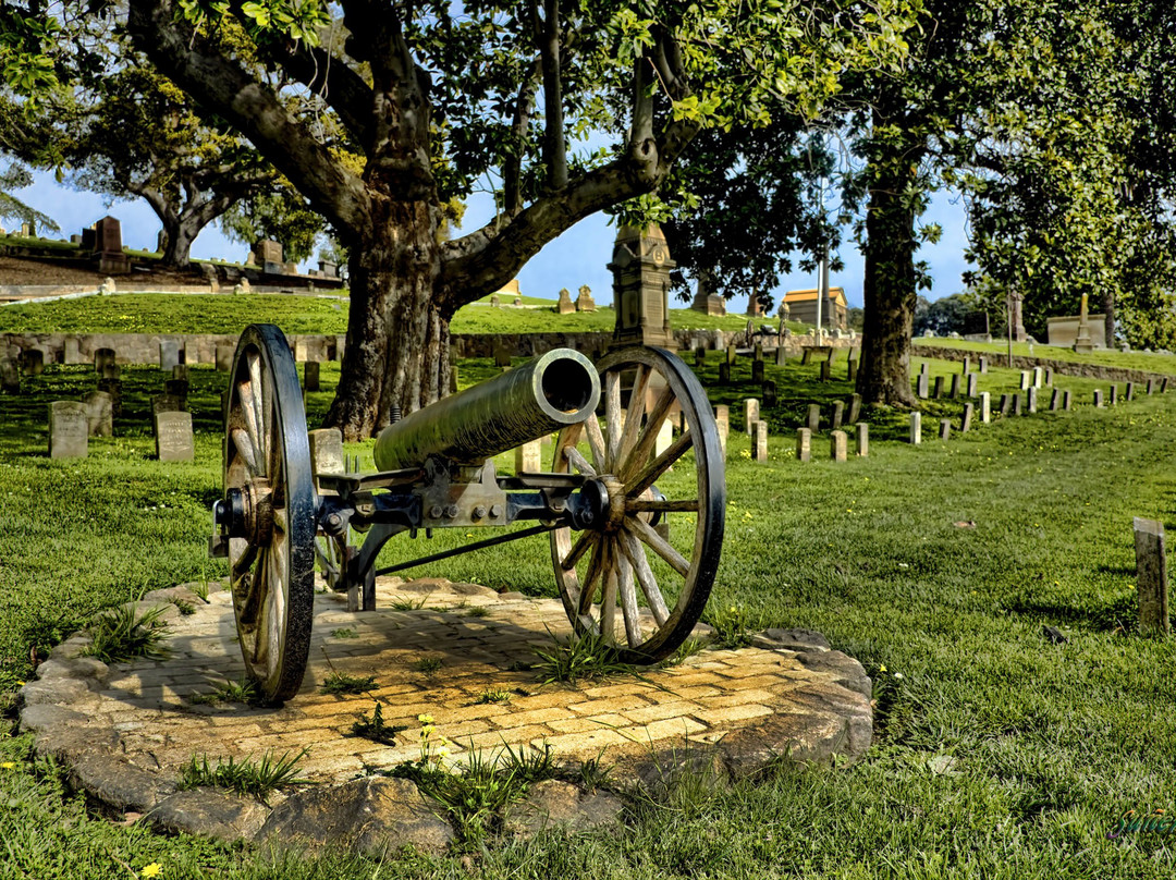 Mountain View Cemetery景点图片