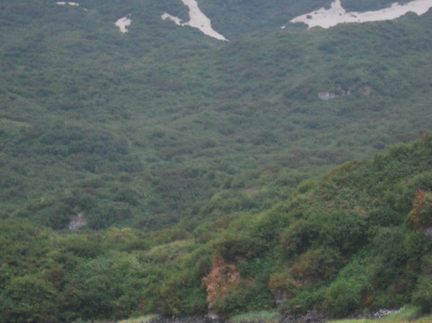 Andrews Airways-Kodiak必去景点