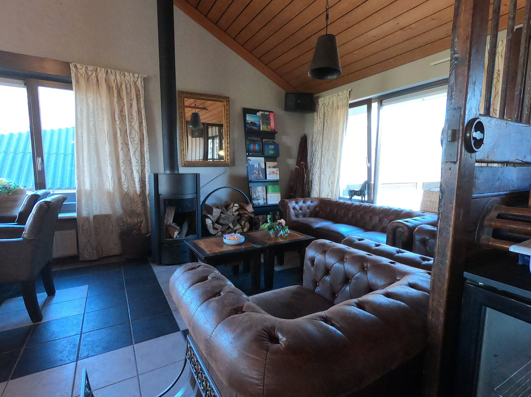 Human & Horse Hotel主图