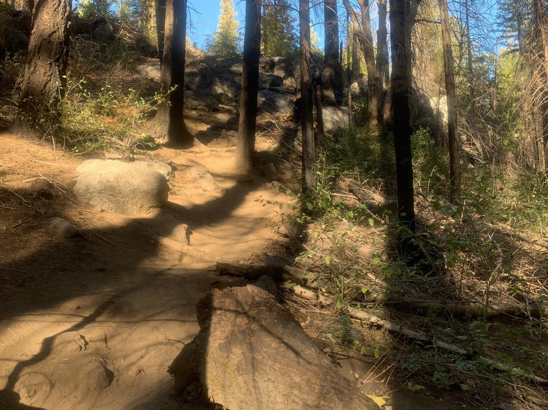 Carlon Falls Trail-格罗夫兰必去景点