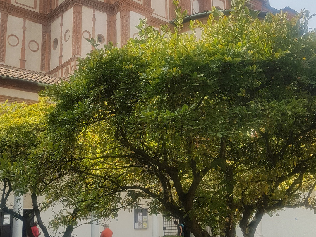 Chiesa di Santa Maria delle Grazie-帕维亚必去景点