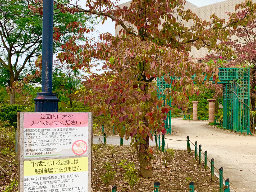 Heisei Tsutsuji Park景点图片