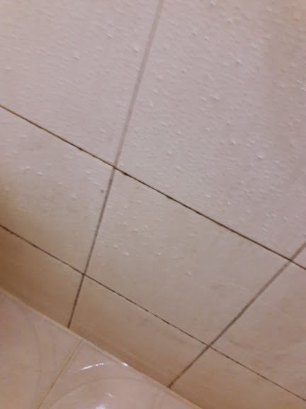 Karthika  Plaza  Resort (pvt. Ltd)主图