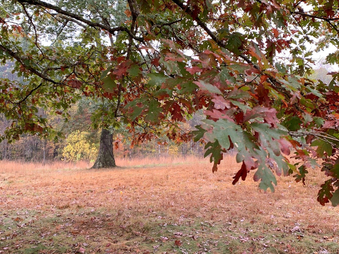 Carter Caves State Resort Park - Lodging主图