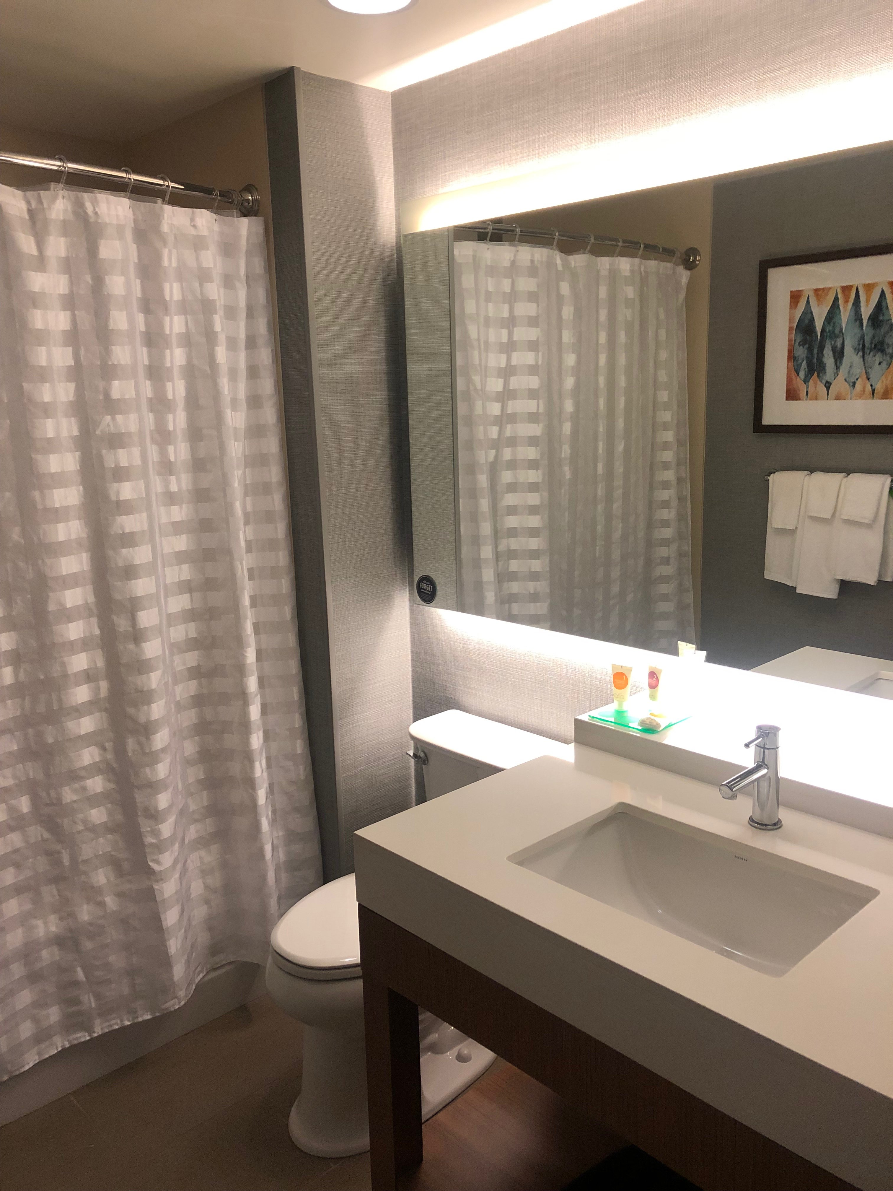 Hyatt Place Blacksburg / University-浴室