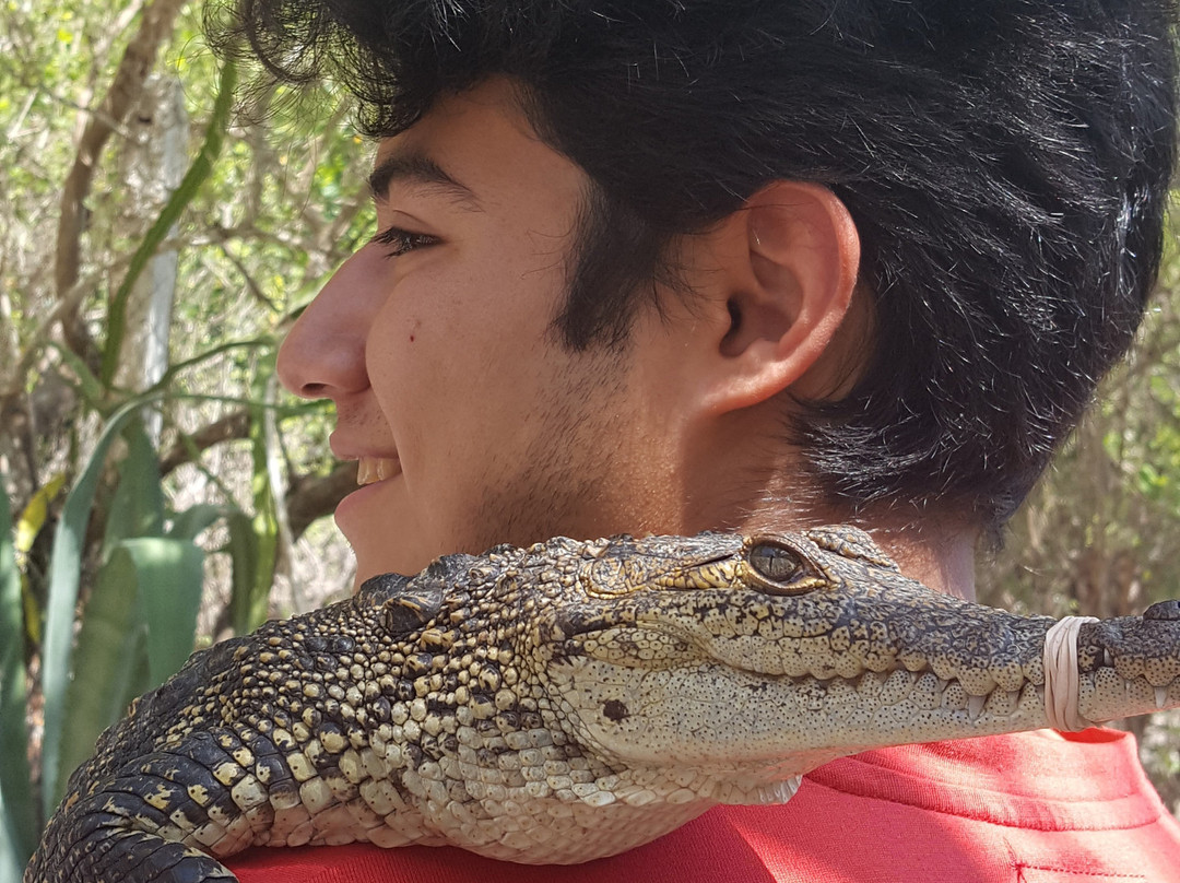 Isla Arena (Isla del Sabalo)-Calkini必去景点