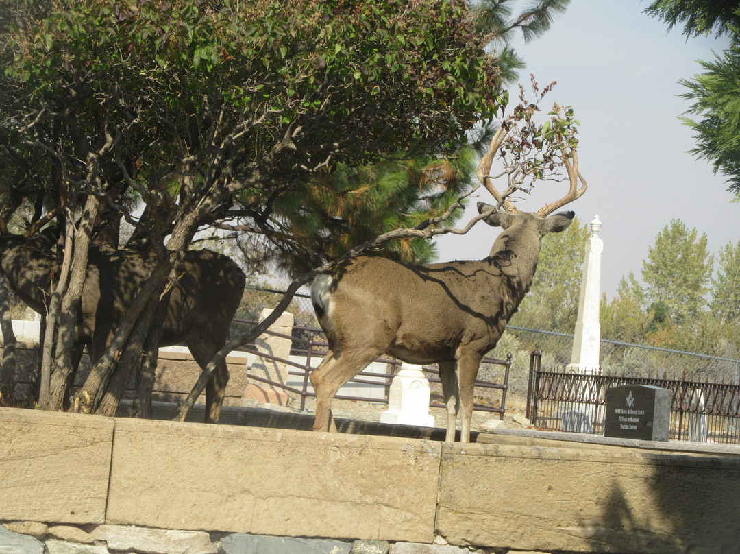 Genoa Cemetery-Genoa必去景点
