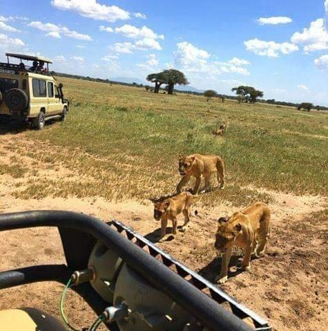 Pottos Adventures-阿鲁沙必去景点