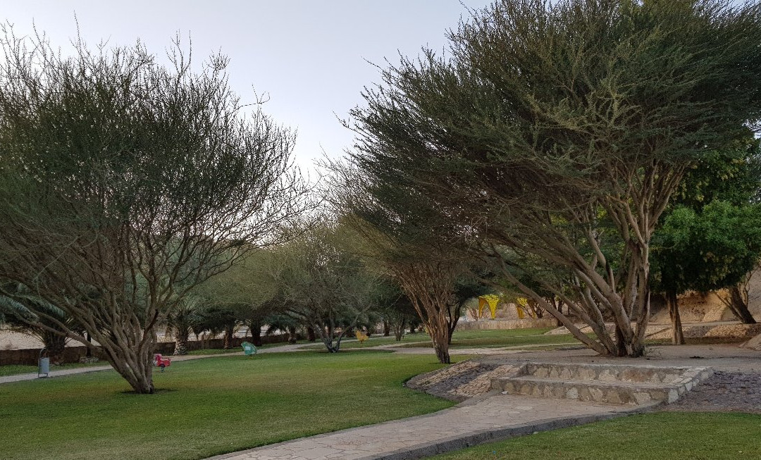 Wadi Kitnah Pools景点图片