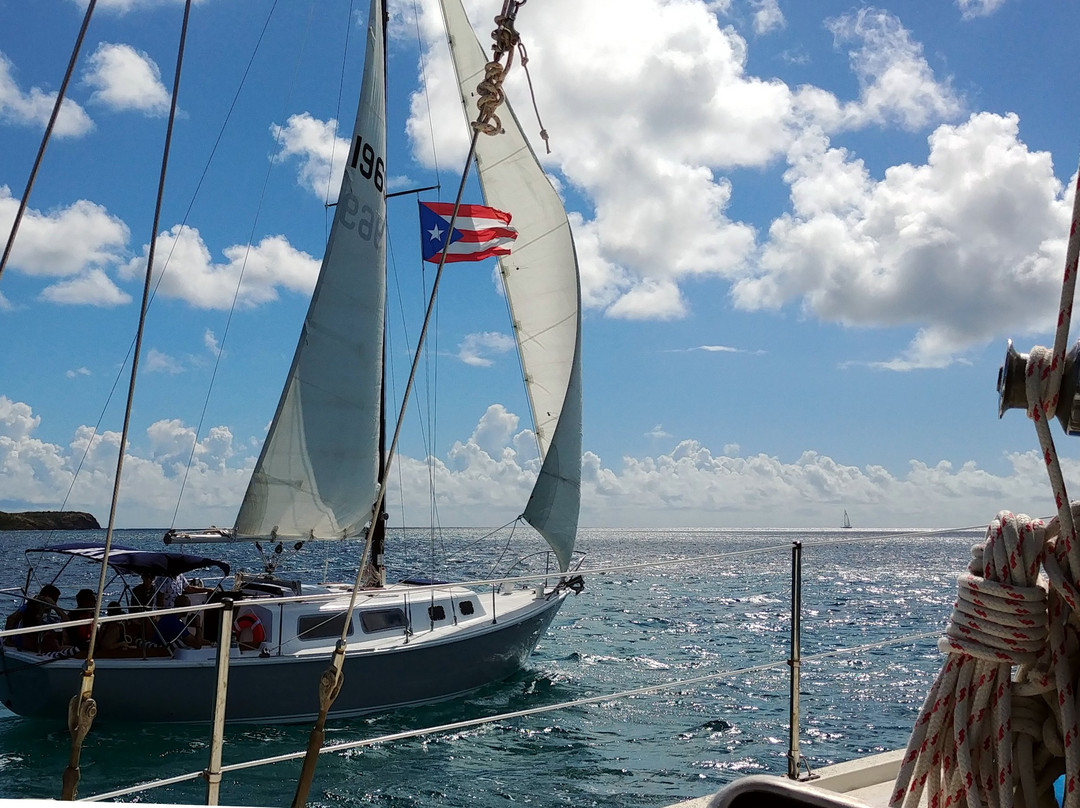 Vieques Sailing Charters景点图片