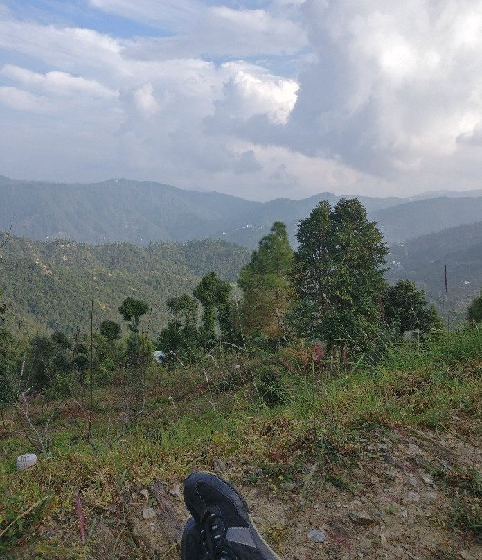 Somerset Lodge主图