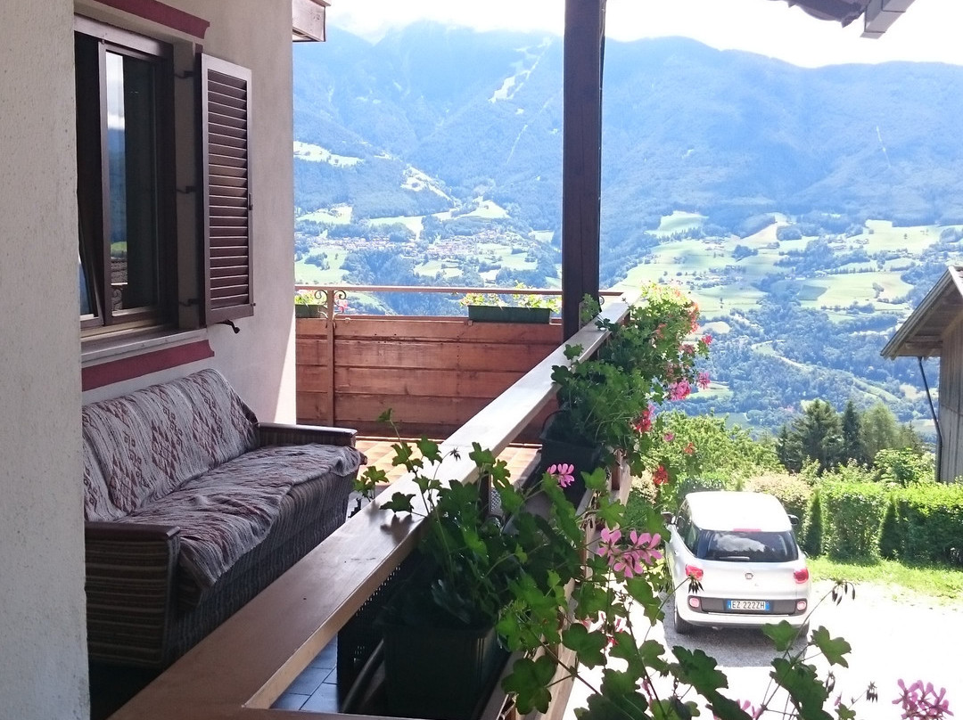 Biogasthaus Restaurant Plonerhof主图