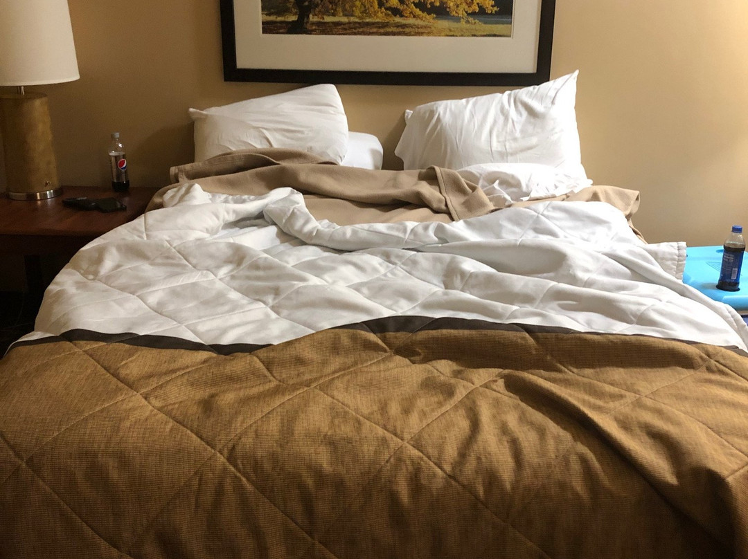 Extended Stay America - Cleveland - Middleburg Heights主图