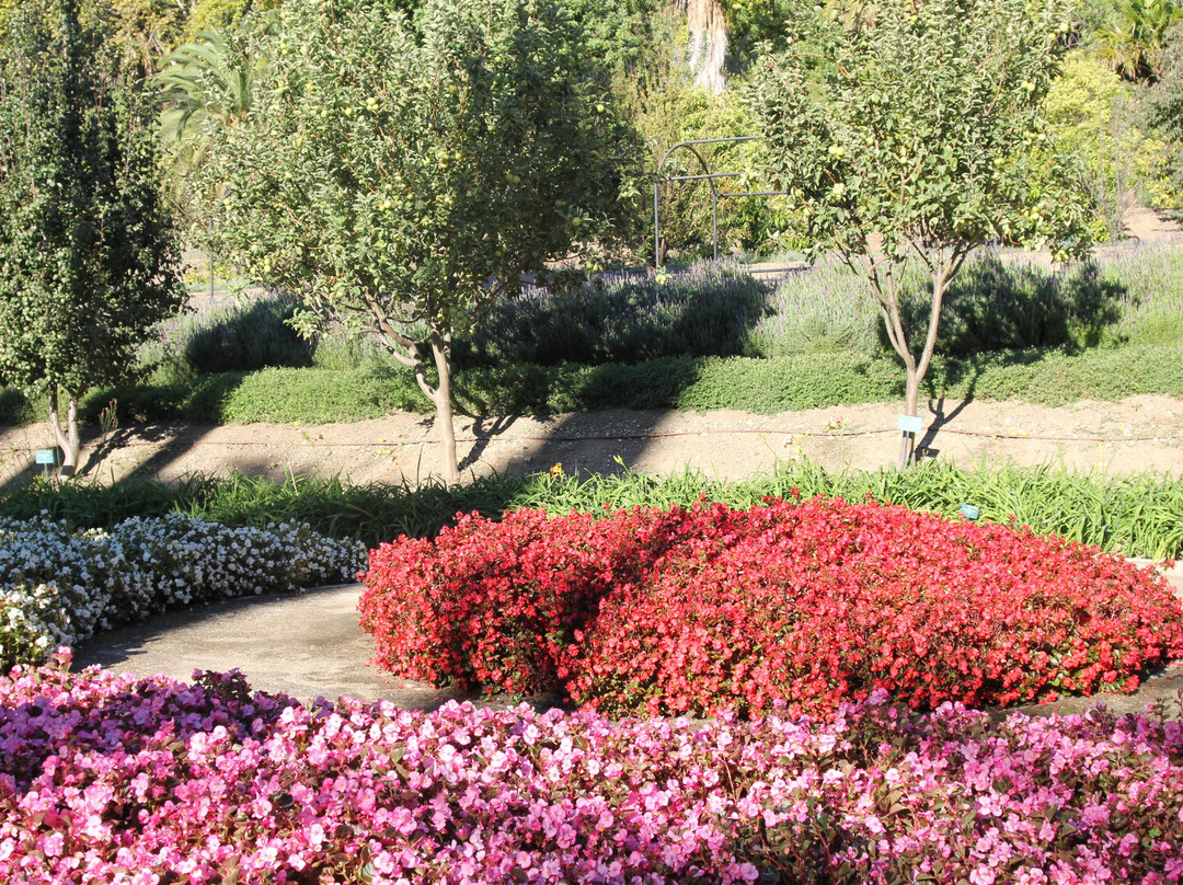 Jardin Botanico Historico La Concepcion景点图片