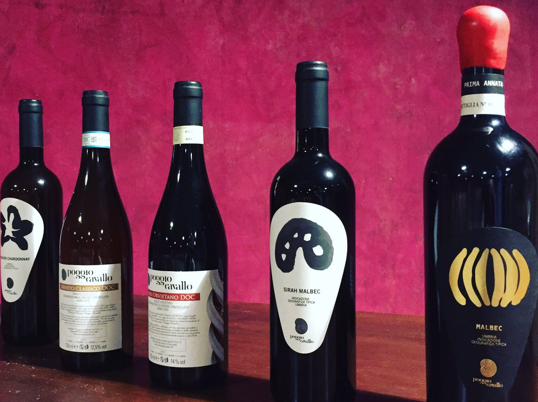 Cantina Poggio Cavallo-奥尔维耶托必去景点