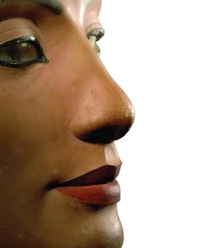 Berlin Museum of Medical History of the Charite-柏林必去景点