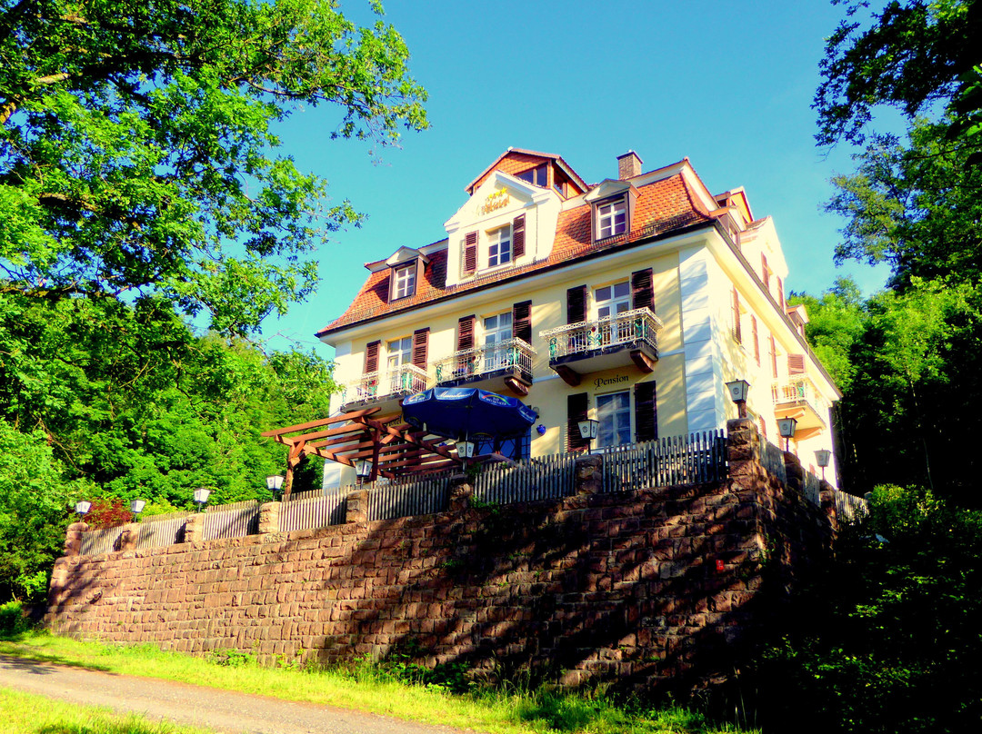 Rhöen Hotel Waldcafé St. Georg主图
