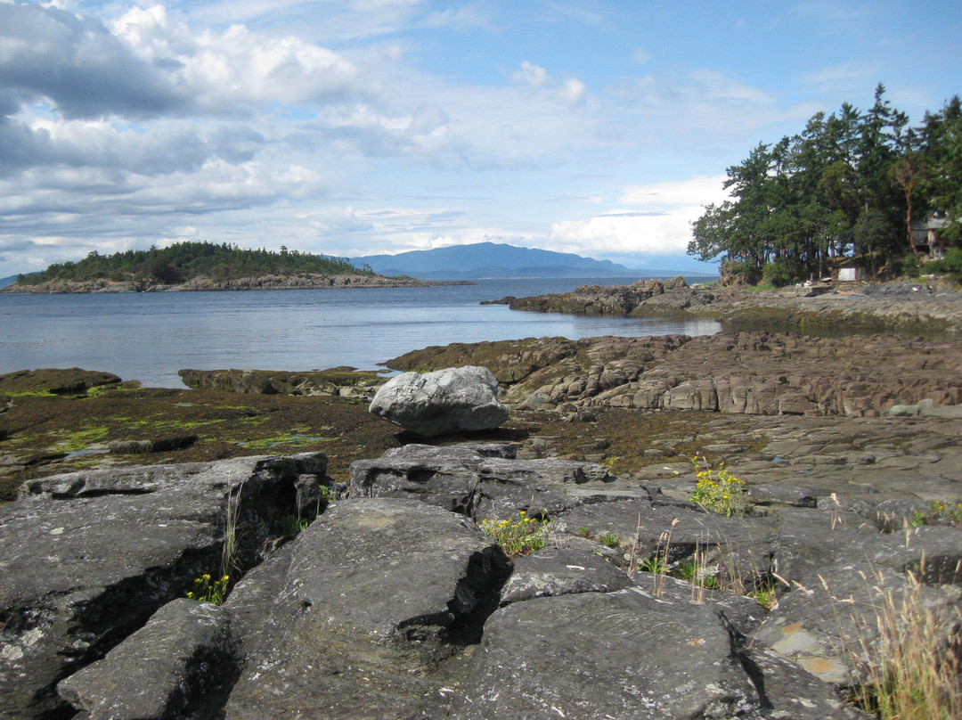 Beachcomber Regional Park景点图片