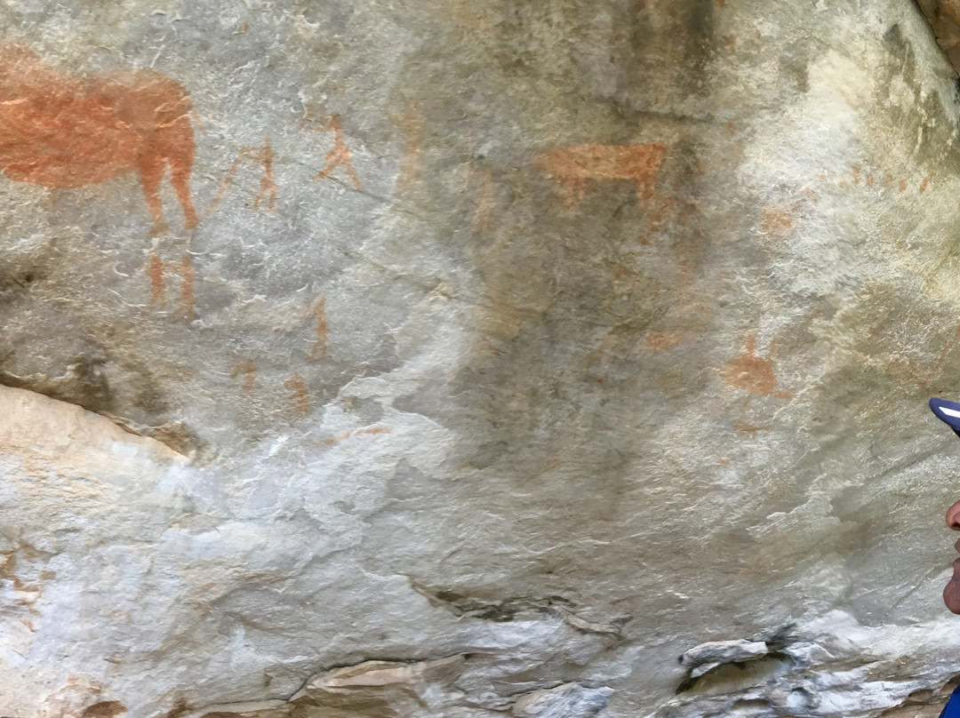 Groot Krakadouw Trail-克兰威廉必去景点