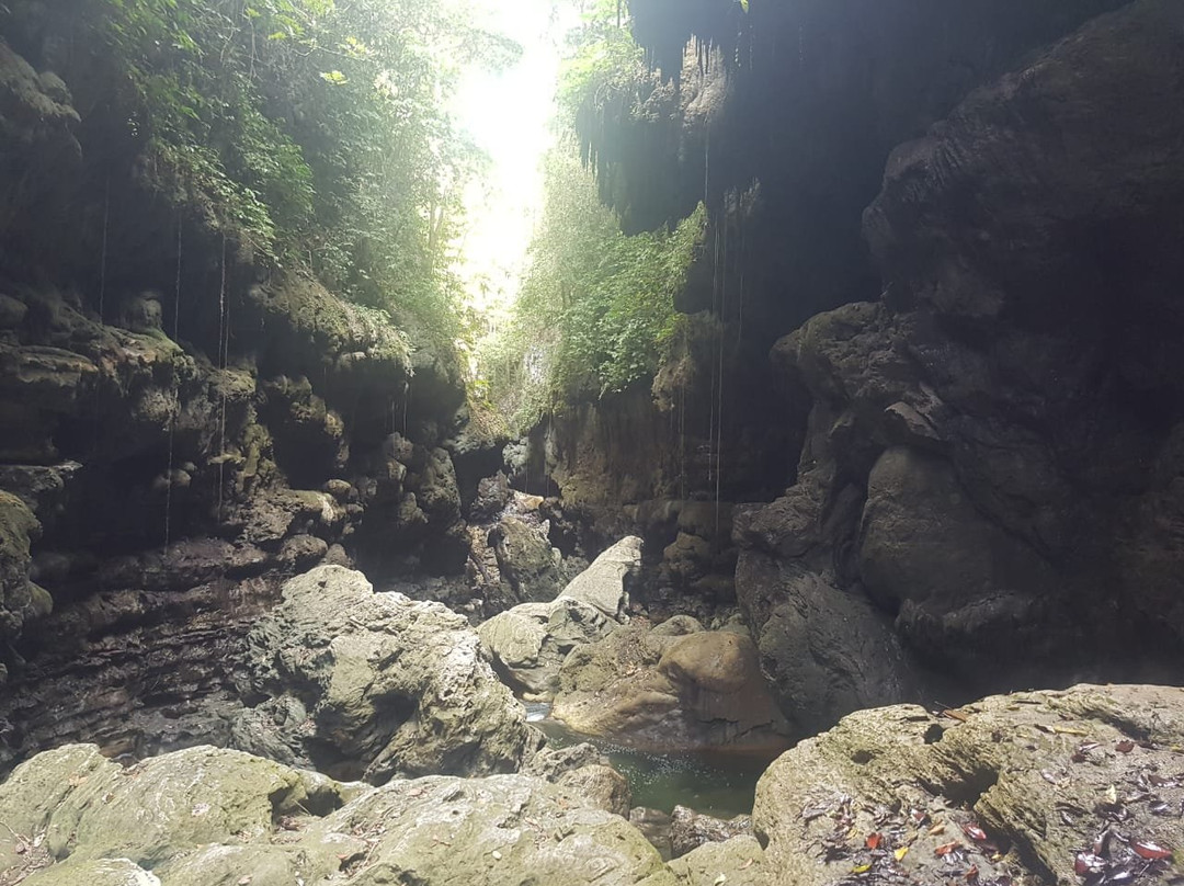 Dindin Tour - Day Tours-庞岸达兰必去景点