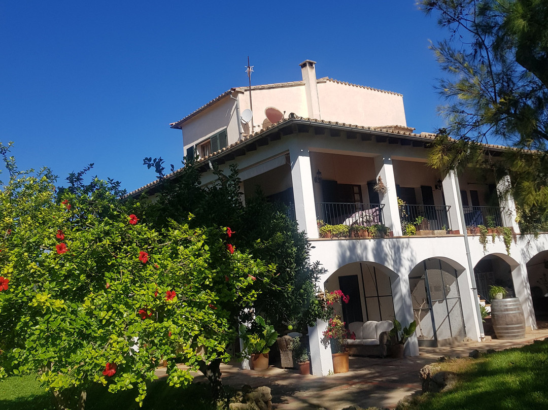 Mallorca Wine Tours景点图片