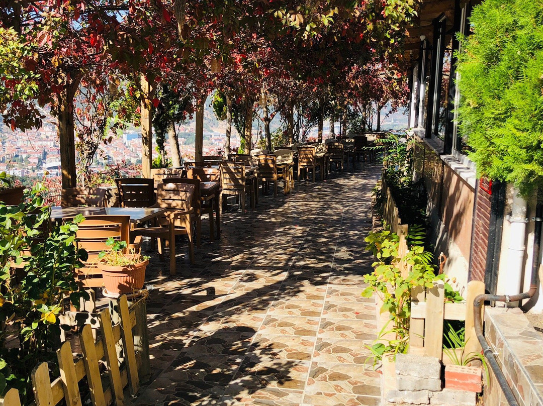 Grand Derici Otel - Cafe主图