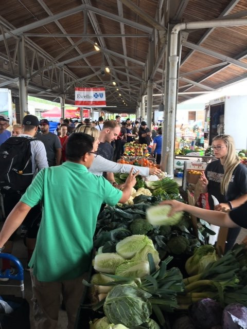 Rochester Public Market景点图片