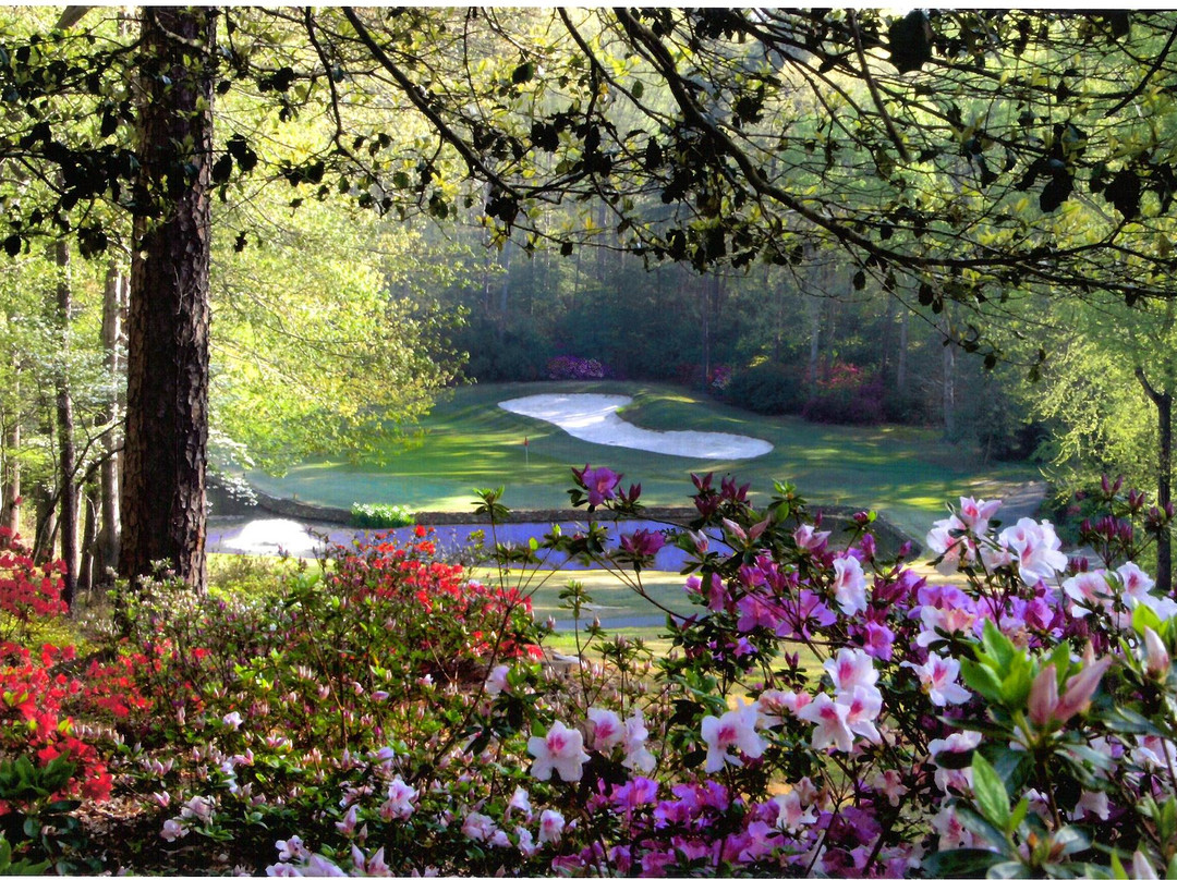 Carolina Trace Country Club景点图片
