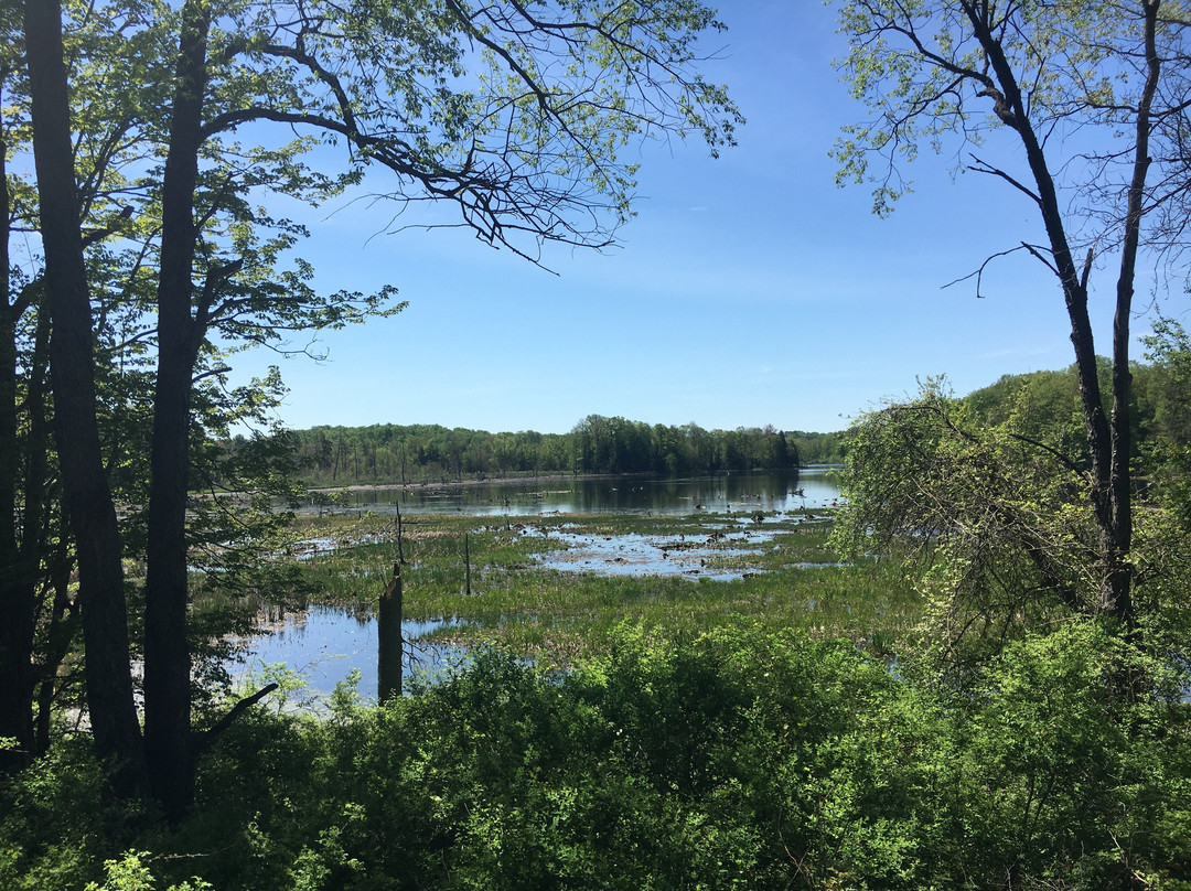 Beaver Meadow Audubon Center景点图片