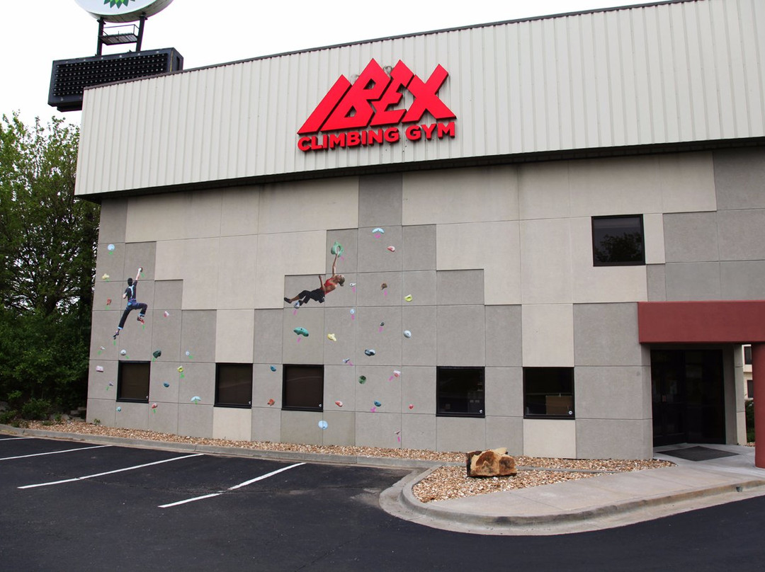 IBEX Climbing Gym景点图片