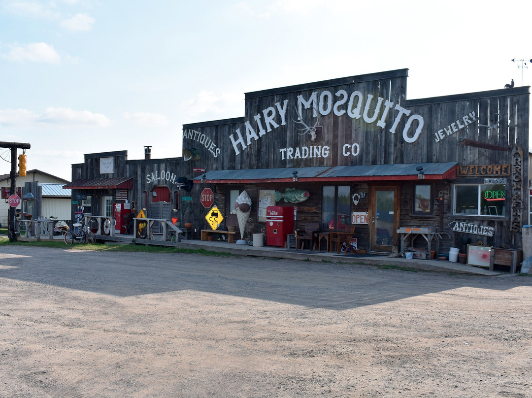 The Hairy Mosquito Trading Company景点图片