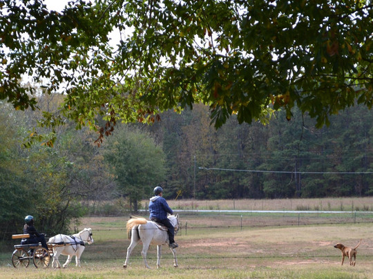 Adopt-A-Horse Horseback Riding-卡温顿必去景点