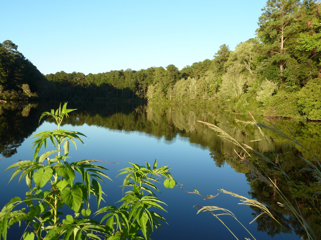 桃树市旅游景点-Lake Peachtree