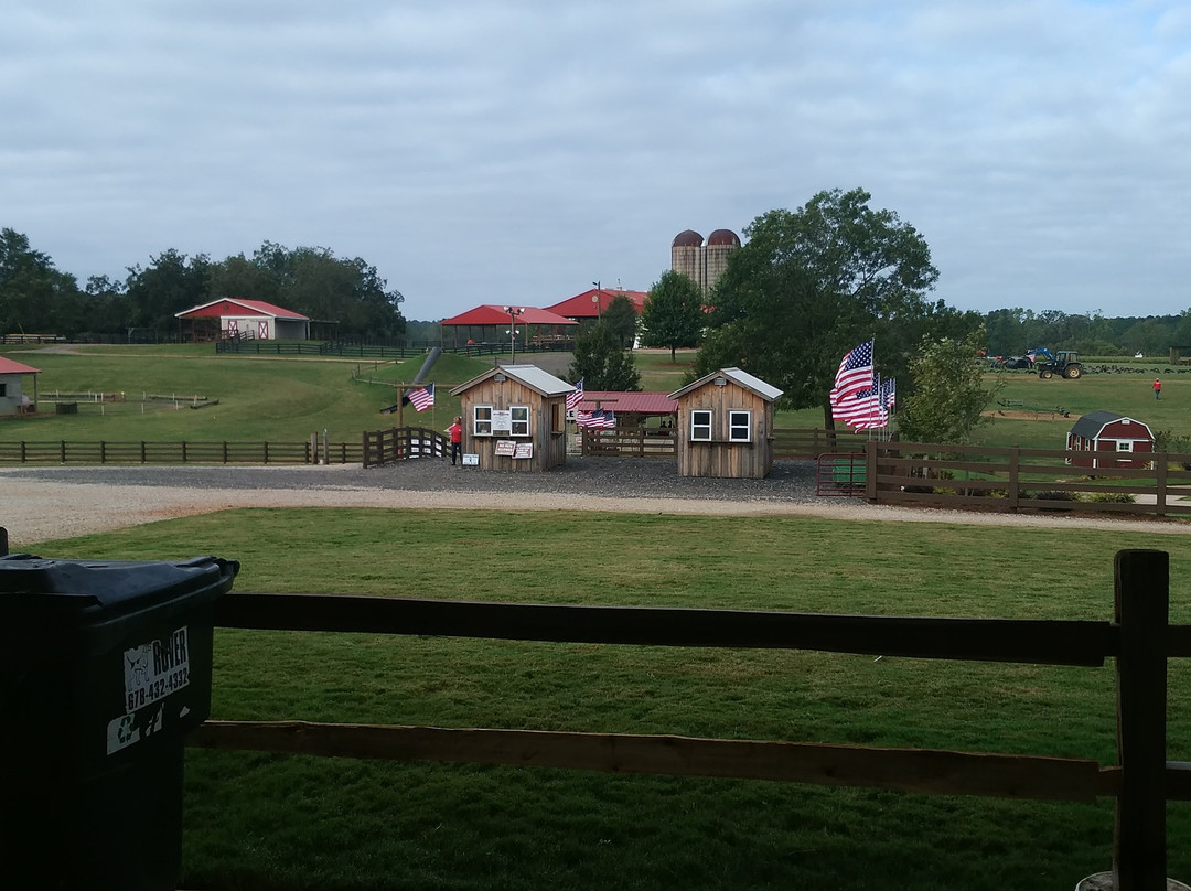 Southern Belle Farm景点图片