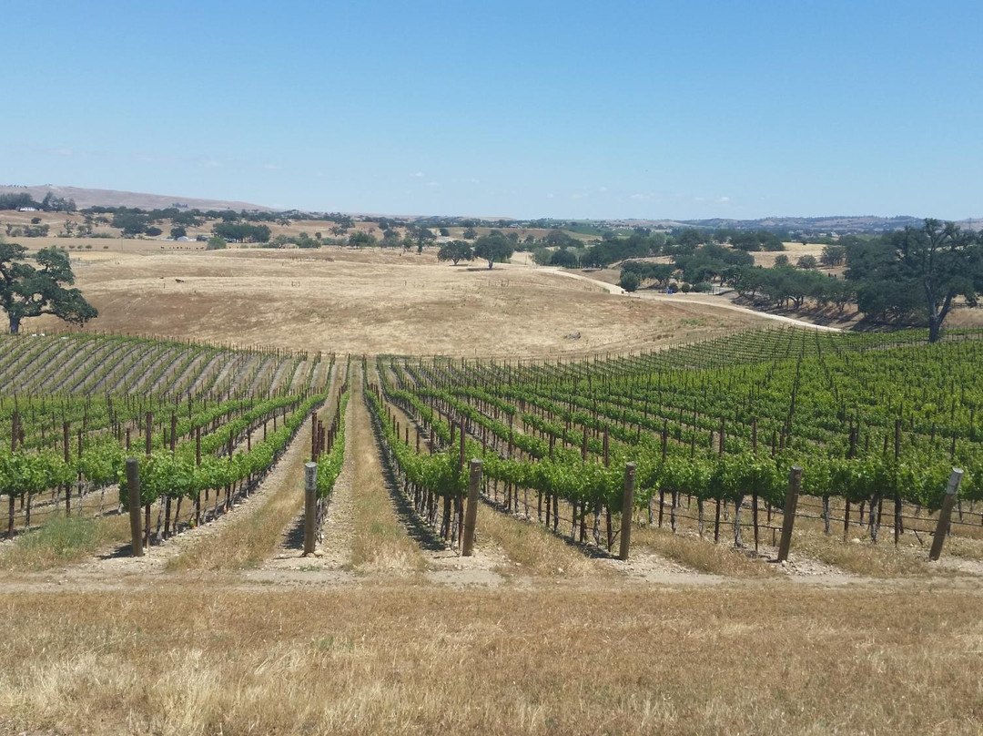 August Ridge Vineyards-Creston必去景点