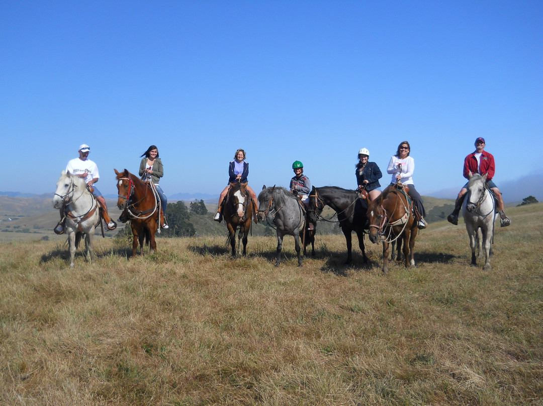 Outback Trail Rides景点图片