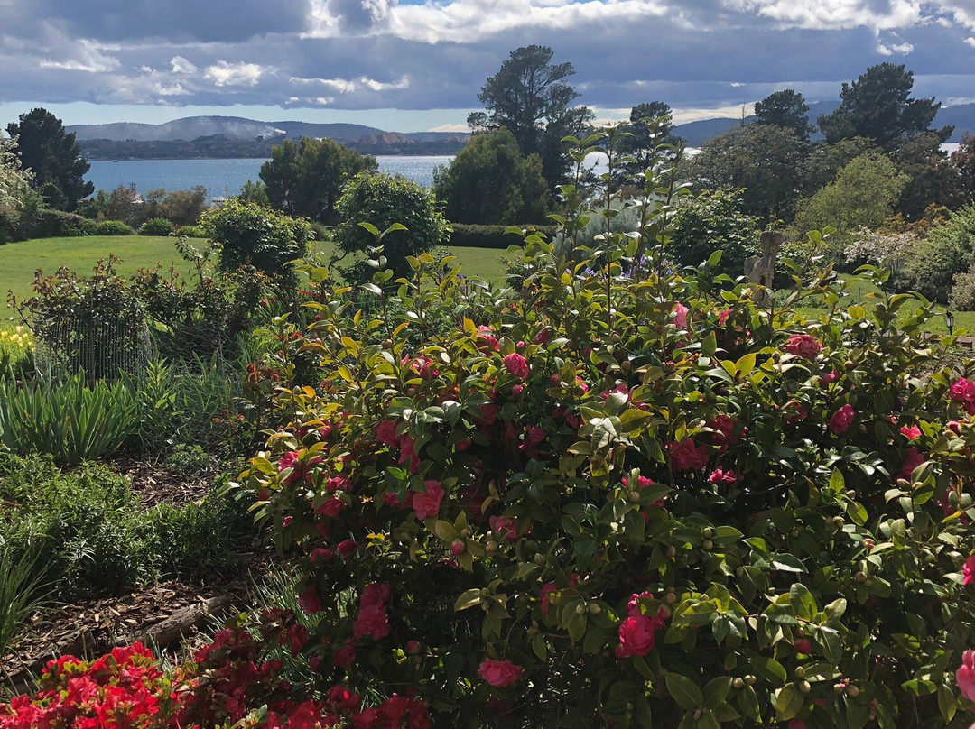 Jensens Bed and Breakfast主图