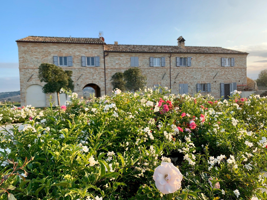 Villa Angela Country House主图