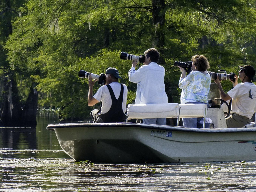 Lowcountry Photo Safaris景点图片