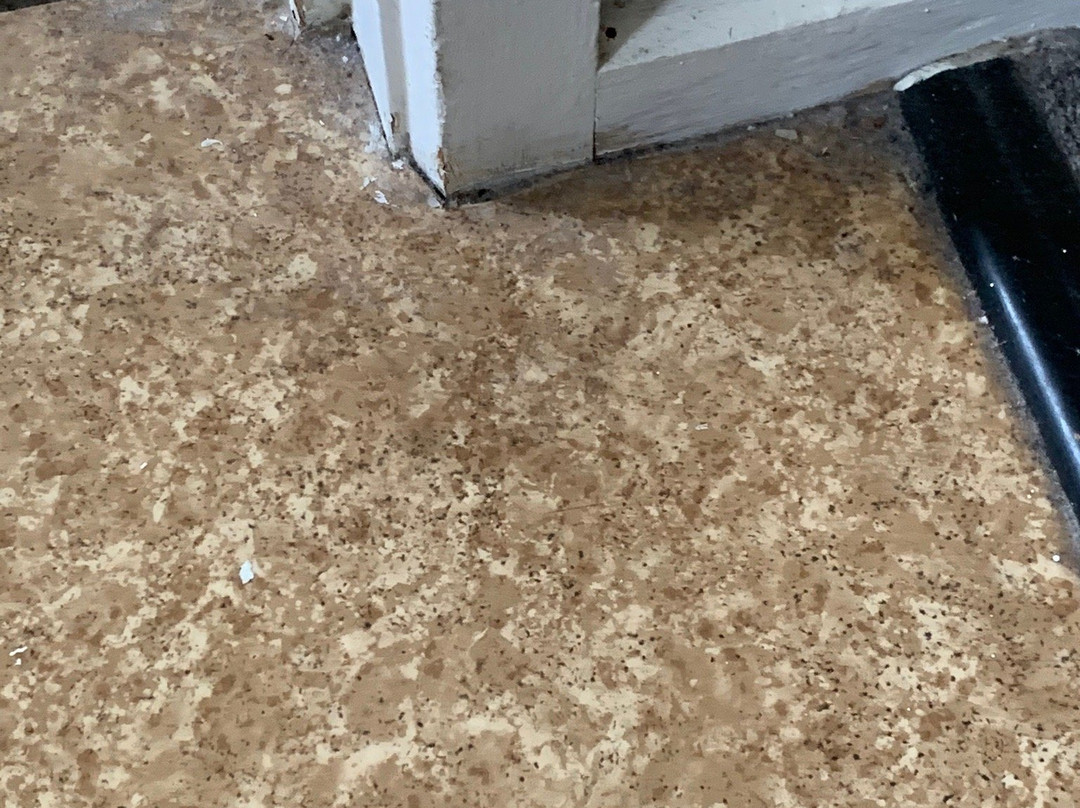 弗兰克斯顿旅馆主图