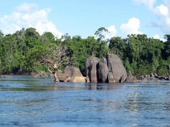 Essequibo River景点图片