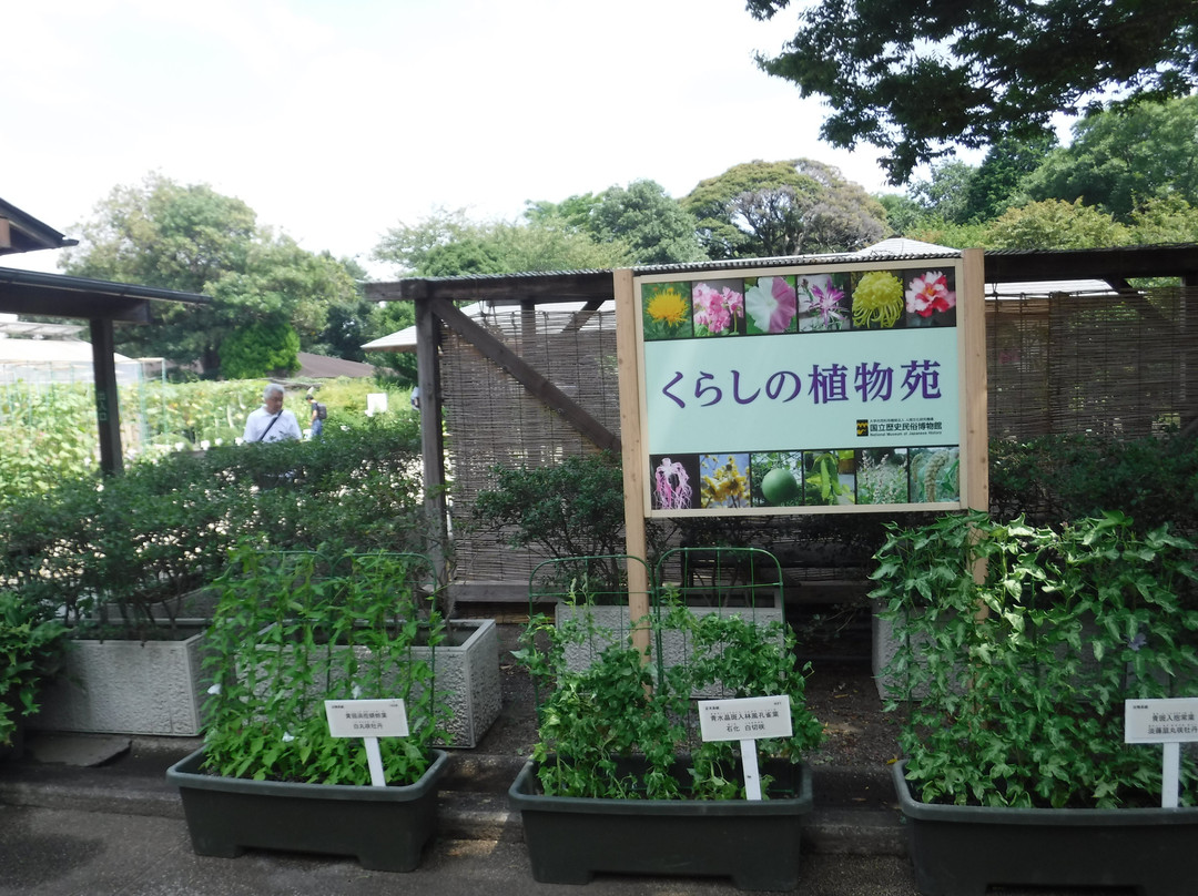 Kurashino Botanical Garden-佐仓市必去景点