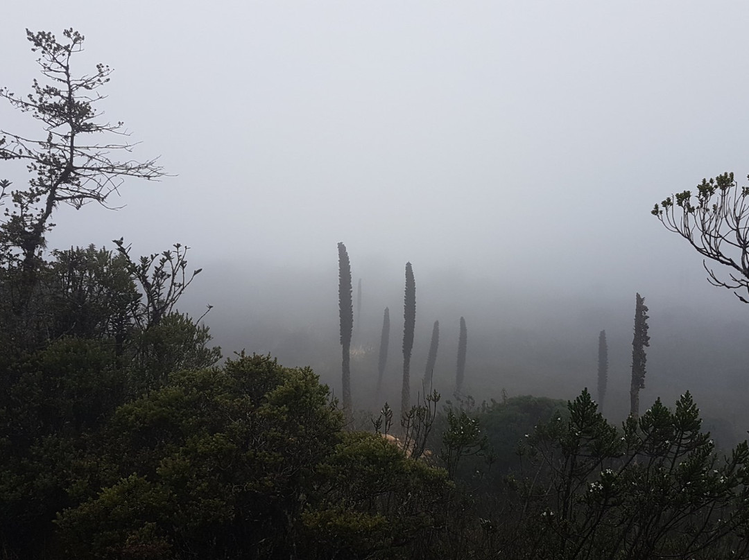 Choachi旅游攻略图片