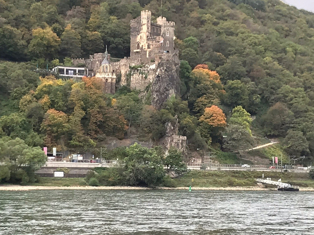 Rhine River Day Cruises-莱茵河畔宾根必去景点