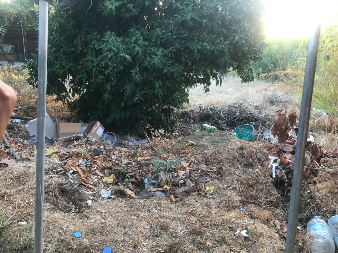 王子酒店及别墅主图