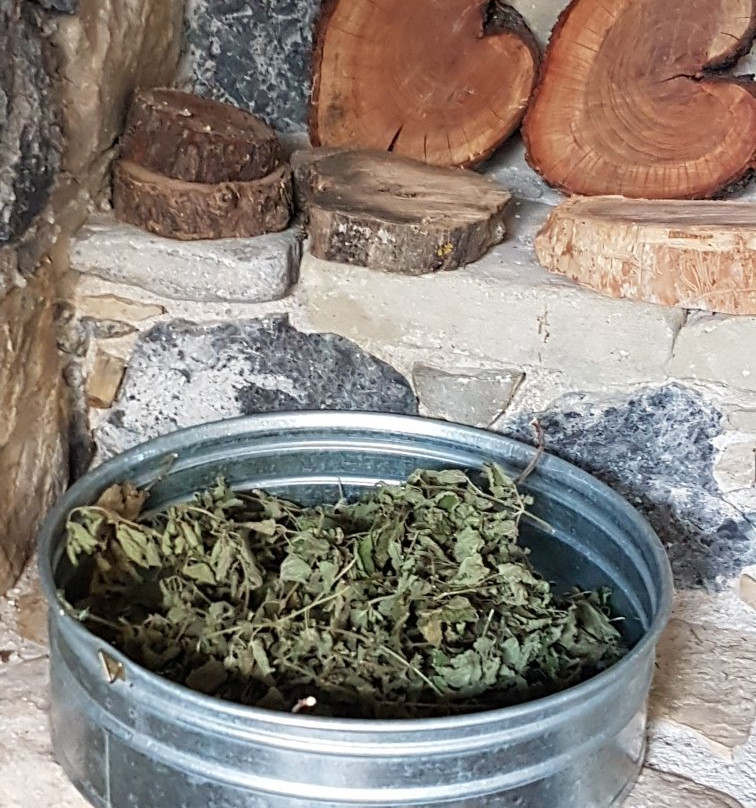 Althaea-Anatoli必去景点