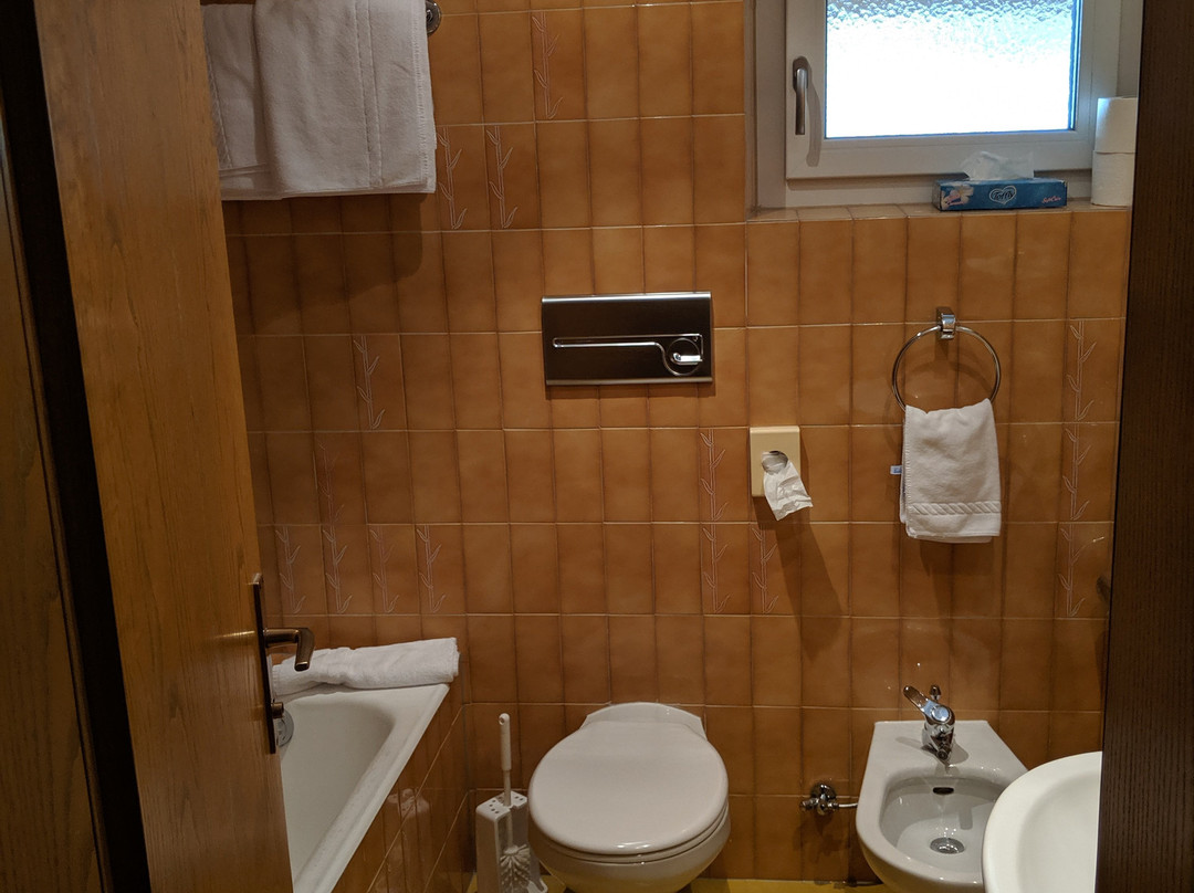 Hotel Dolomiten主图