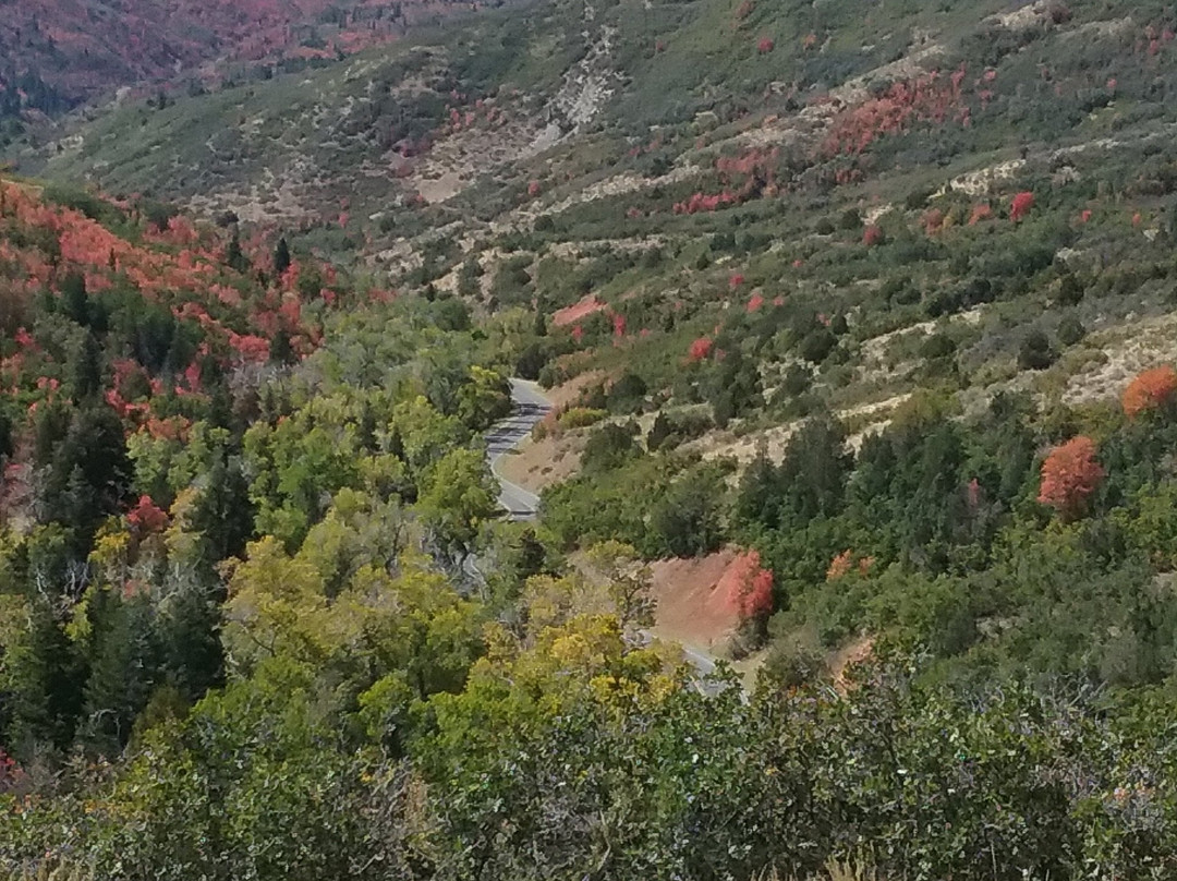 Nebo Loop National Scenic Byway景点图片