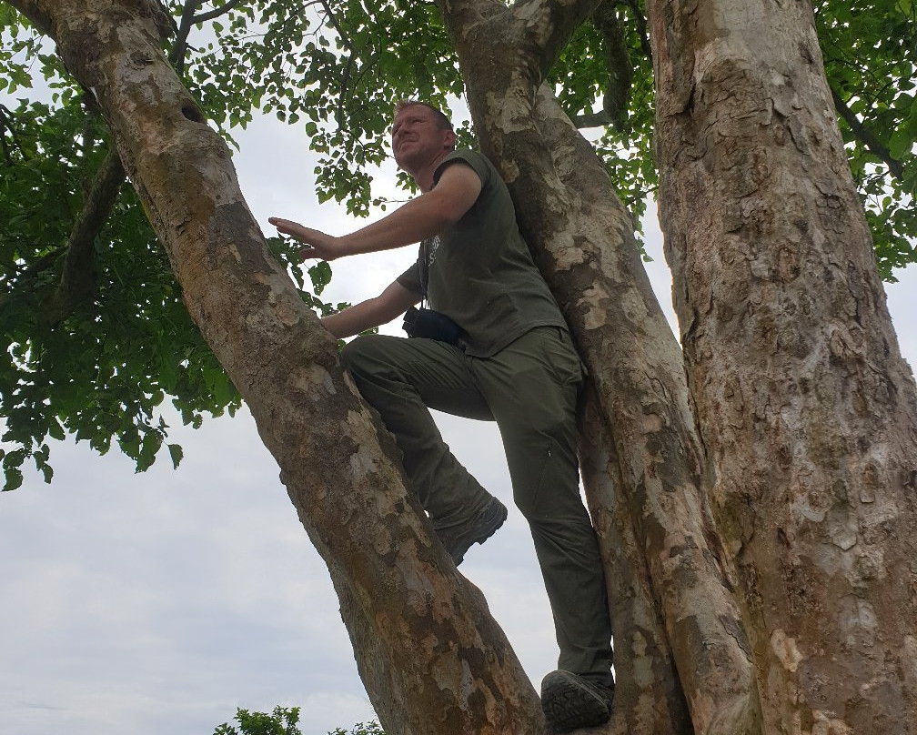 Bardia Jungle Safari-巴迪亚国家公园必去景点