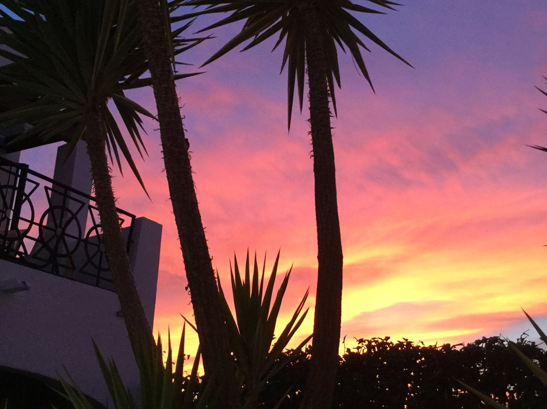 Palomares旅游攻略图片